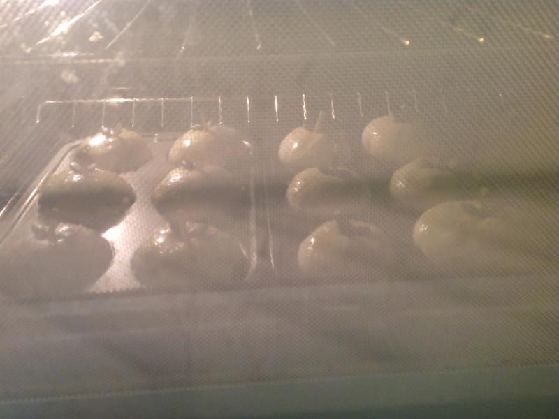 ����ƻ�������-ƻ�����ͱ������?!!!������