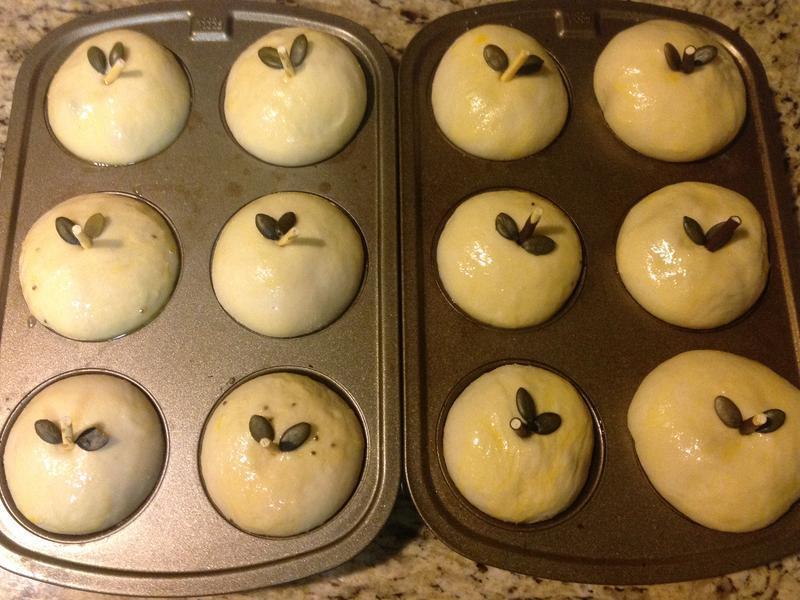 ����ƻ�������-ƻ�����ͱ������?!!!������