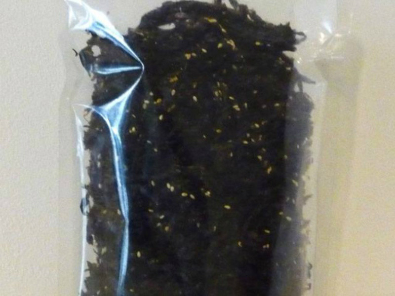 ÷�����ܵ�����