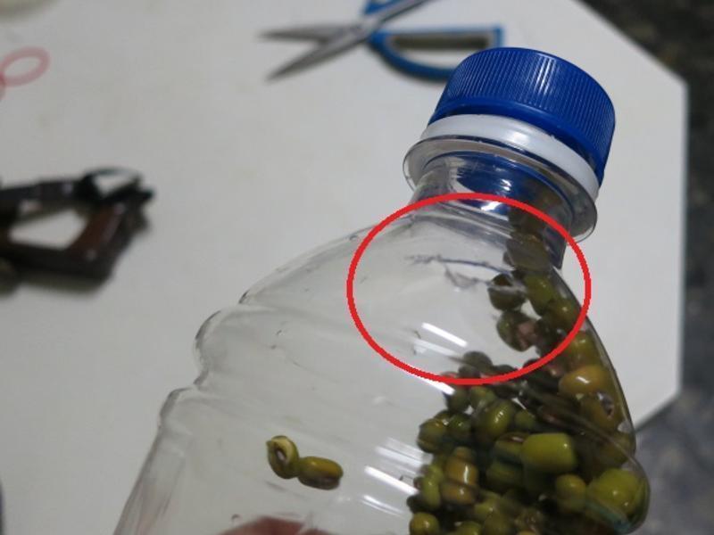 û��Ư�׼��Ķ�ѿ������