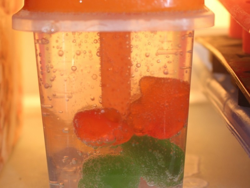 ���Ǳ���������