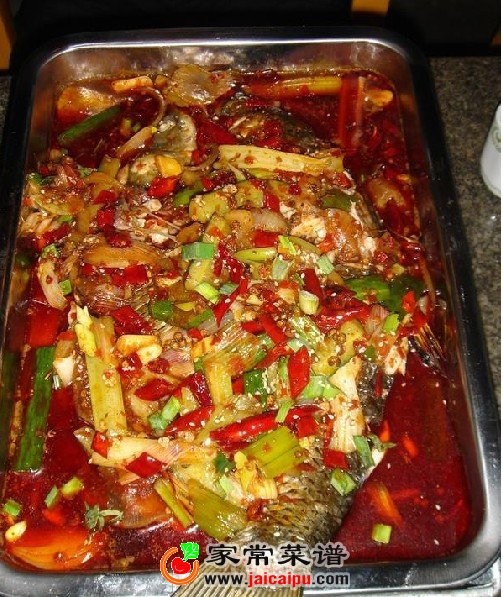 ���ݿ��������