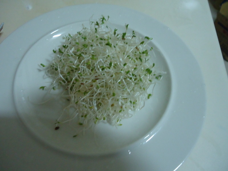 ����ը����ɳ��������