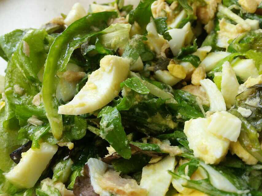 ��ʽɳ��������