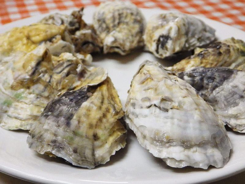 ̩ʽ���������µ�����