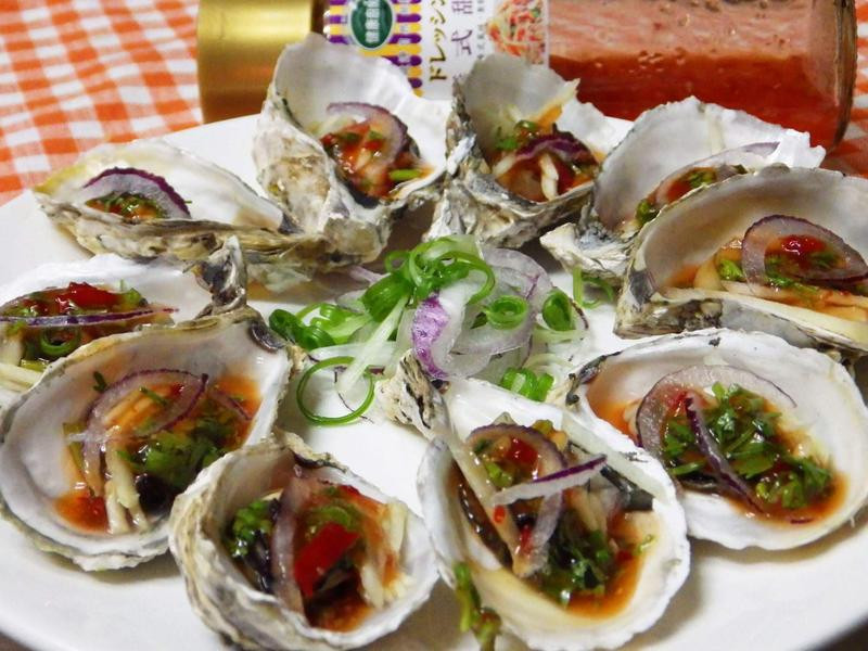 ̩ʽ���������µ�����