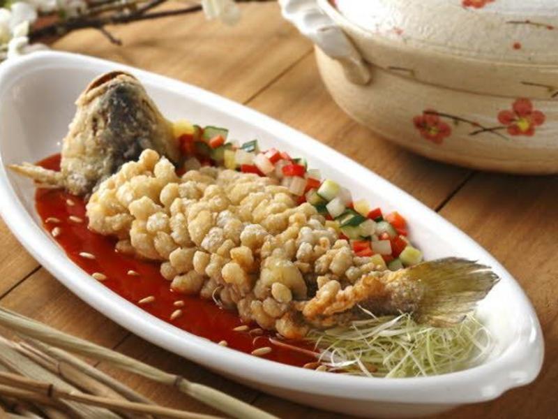 ��֭���ջ��������