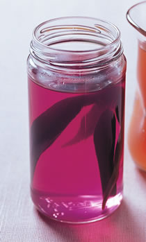 ���ײݲ������