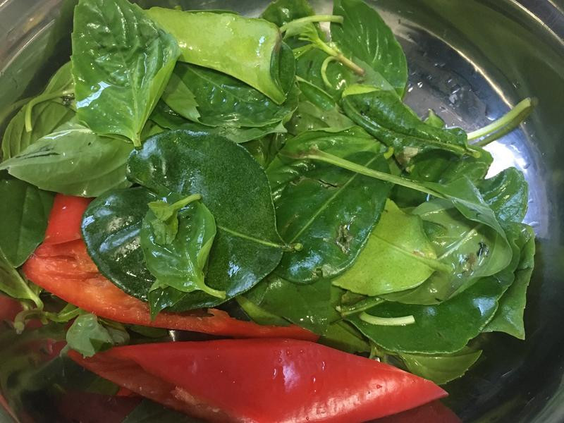 ̩ʽ�࿧����������