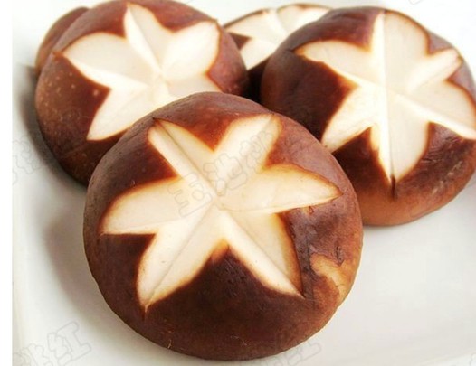 �㹽�л���������