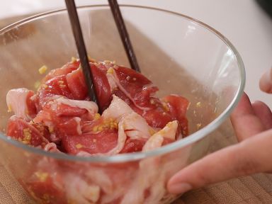 ���׳�����Ƭ������