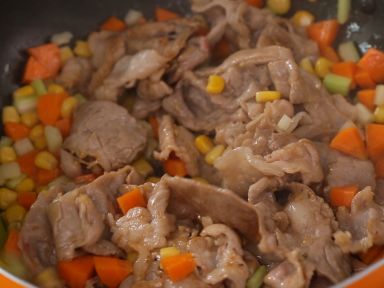 ���׳�����Ƭ������