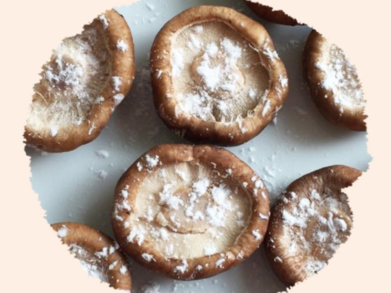 ���󶡶�������������