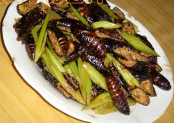 ���Բ�Ӽ������