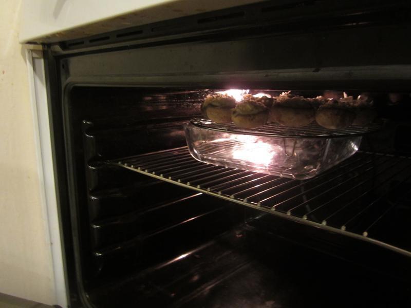 ��˾��Ģ��������