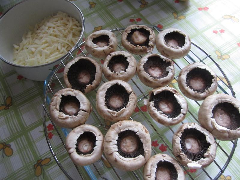 ��˾��Ģ��������