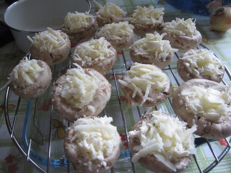 ��˾��Ģ��������