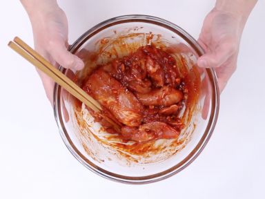 ֽ����ʽ��������������