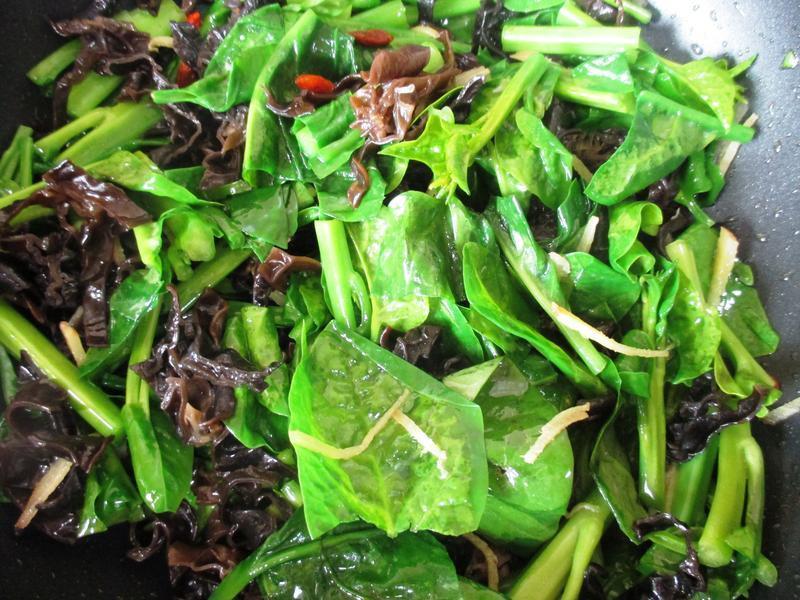 ����ľ���ʹ��˵�����