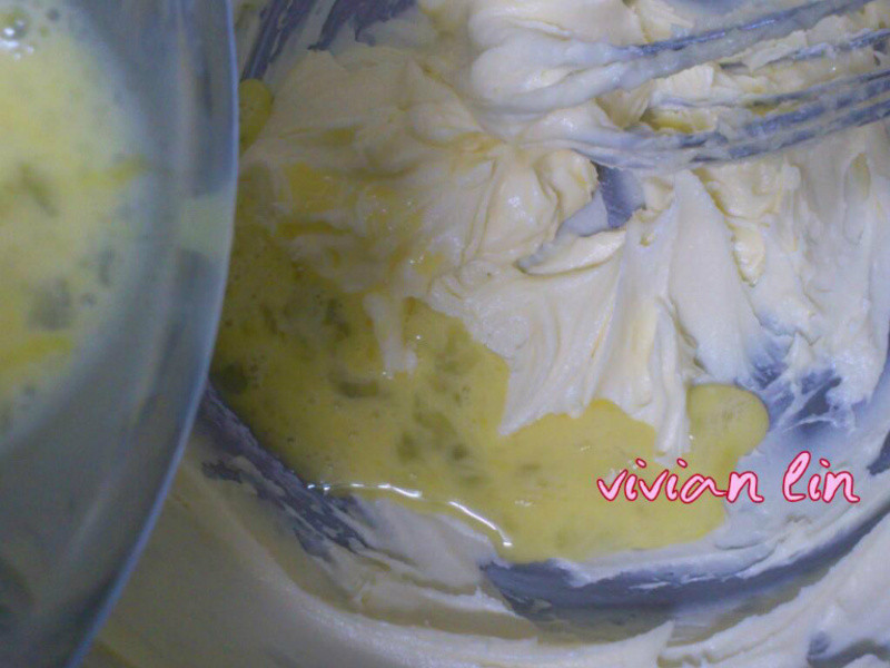 �̲�˫ɫ���ɵ�����