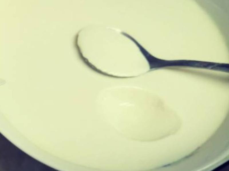 �Ÿ�����������