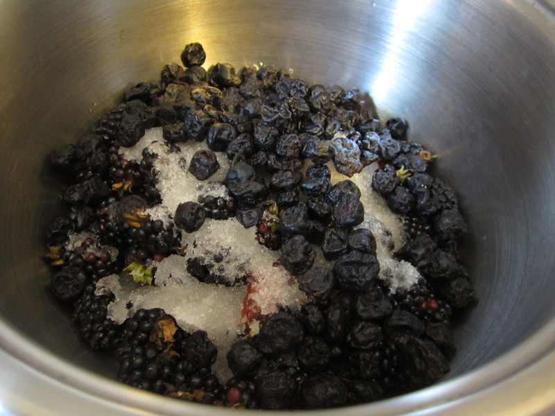 ��������ݮ����������