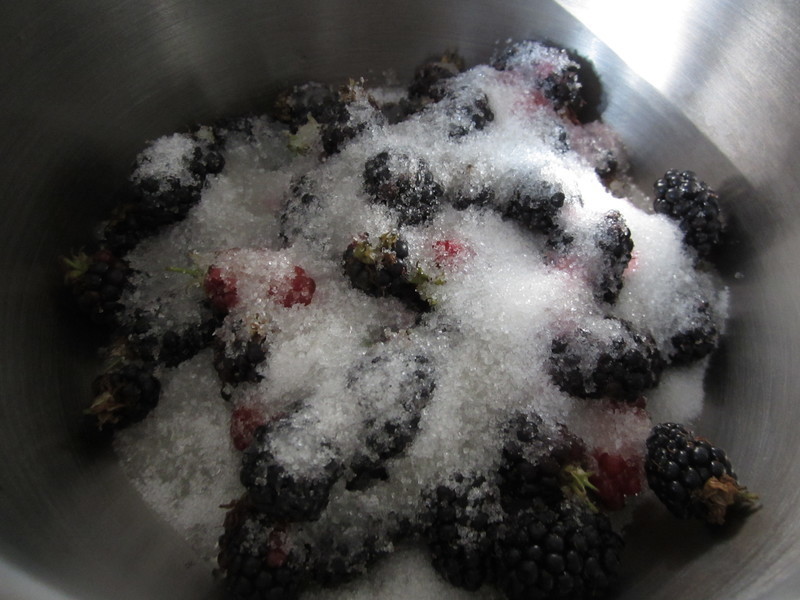 ��������ݮ����������