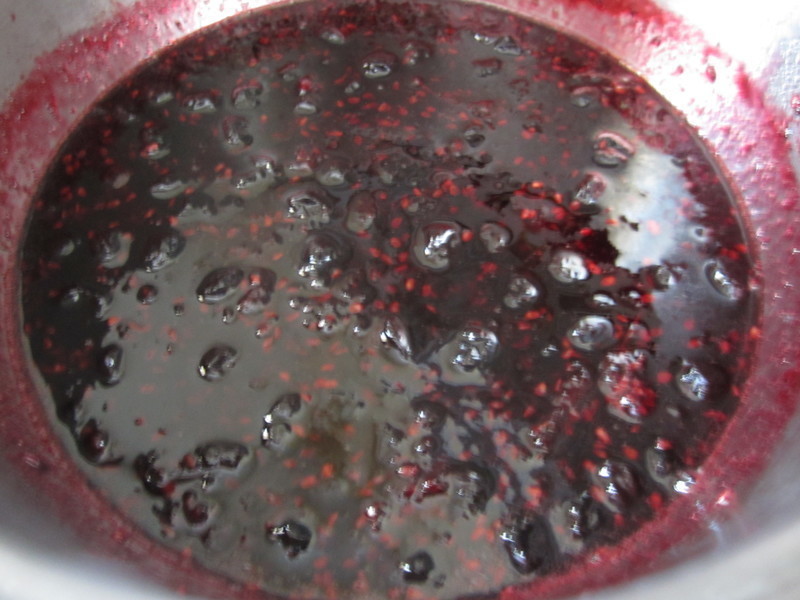 ��������ݮ����������