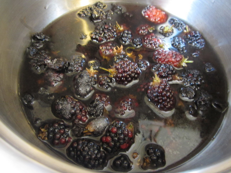 ��������ݮ����������