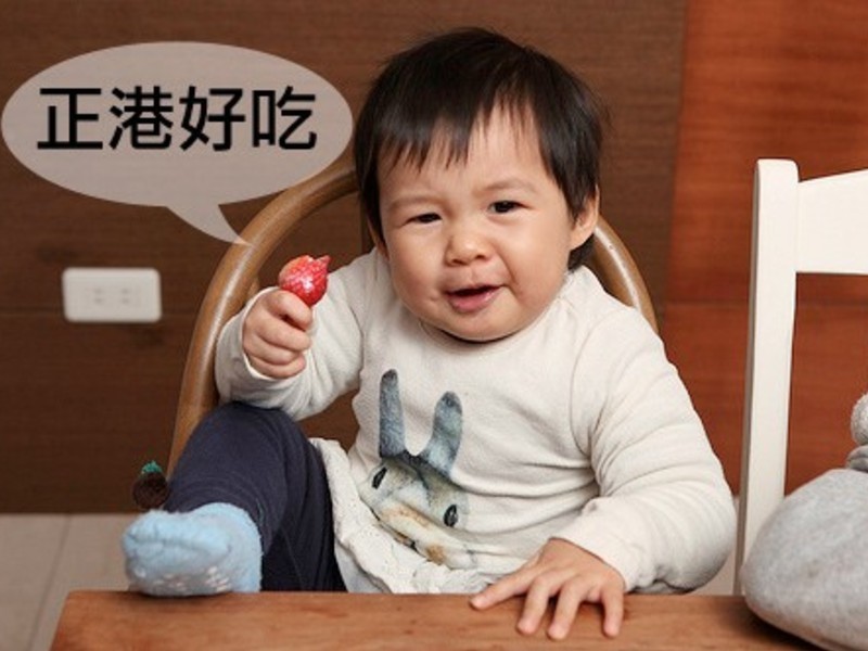 ����ݮ�Ͱ�ӥ�����̡�֮���๾����¶ǵĲ�ݮ���ĵ�����