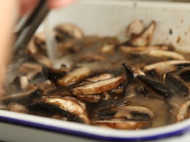 ��ʽ�⼦����������������