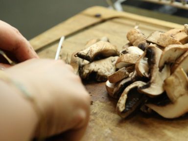 ��ʽ�⼦����������������