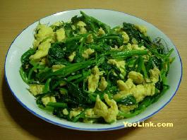 ���˳���������