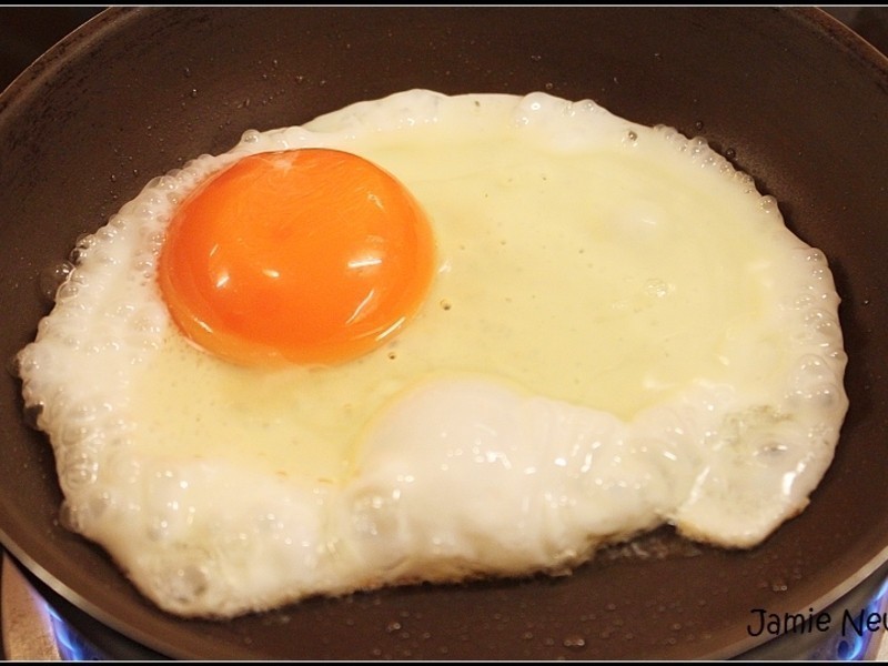 ���ͷ�ţ�ŁS�����������ĺ���B����ʳ������