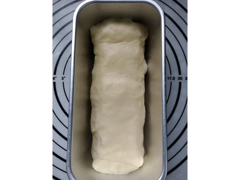 ���������ʿ���������