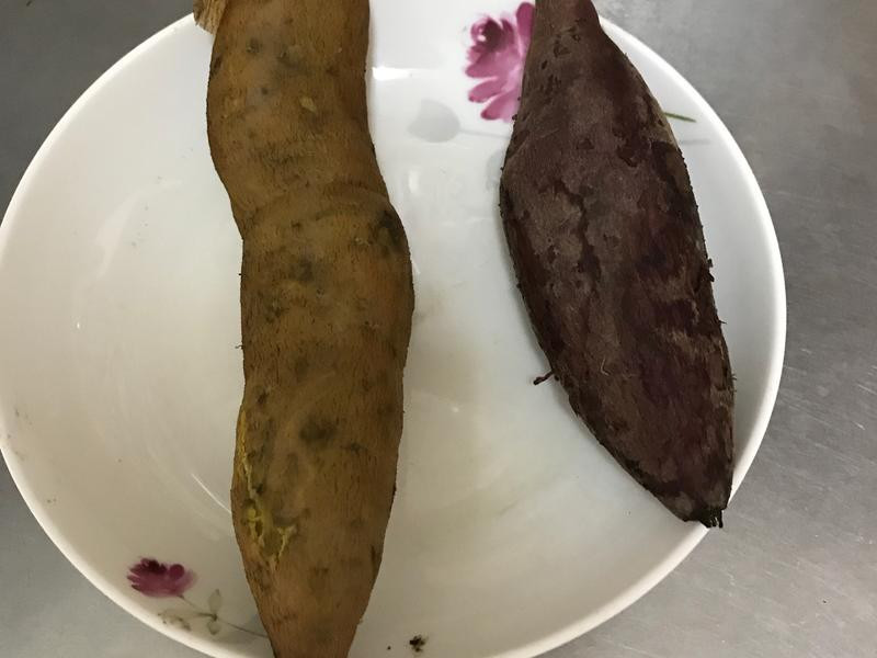 ˫ɫ��������������