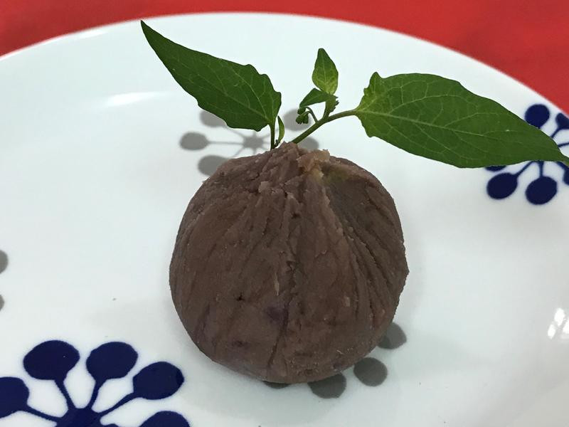 ˫ɫ��������������