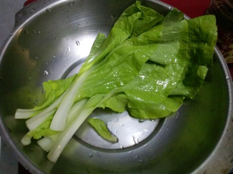 ζ�����������������