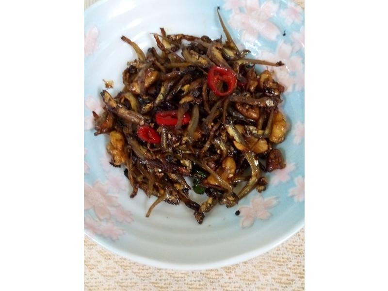 ��¶����С��ɵ�����