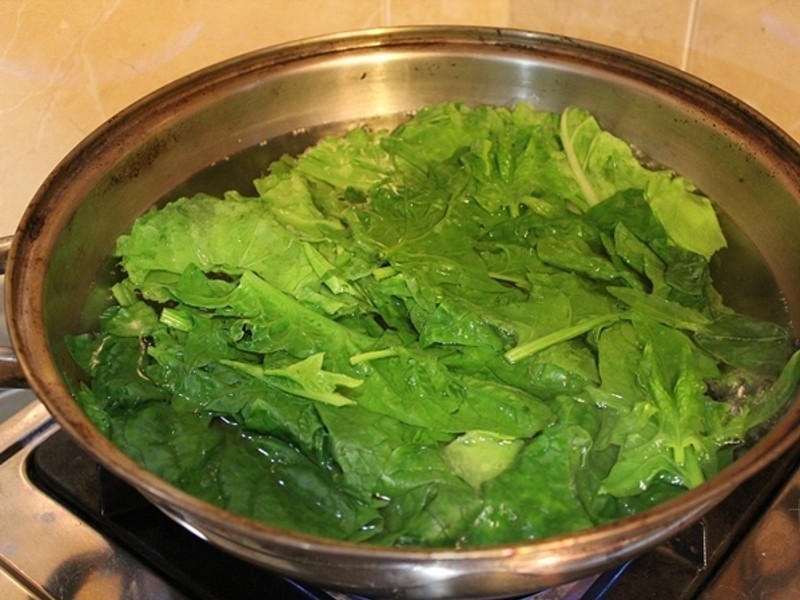 ���˰�ը��Ƥ���ҵĵ�һ�׺úó�ʳ���汾������