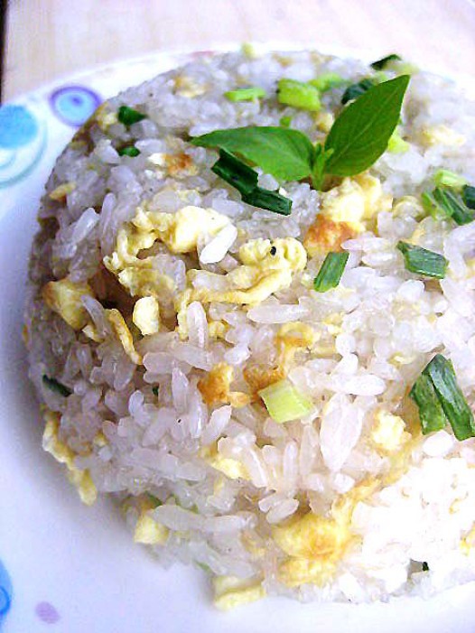 ����Ŵ�׷�������