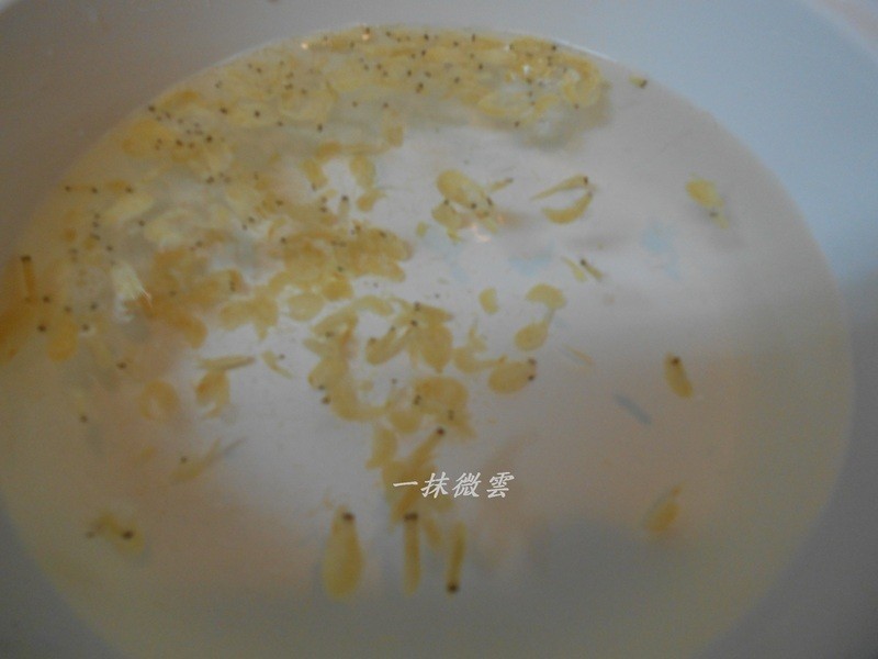 �㹽������������