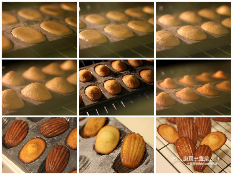 ��������������������