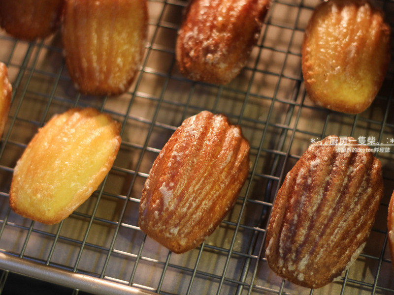 ��������������������