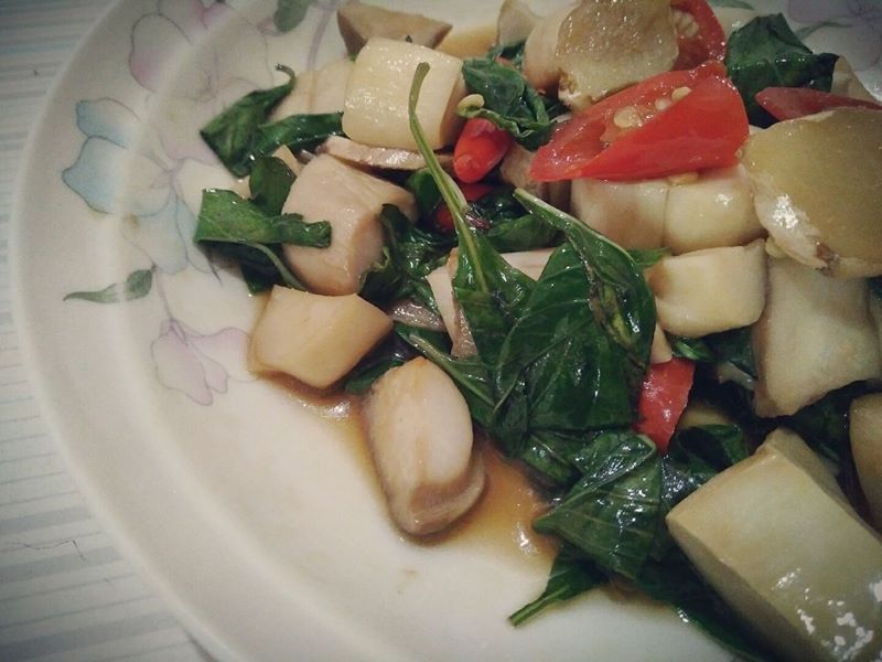 �������U��������