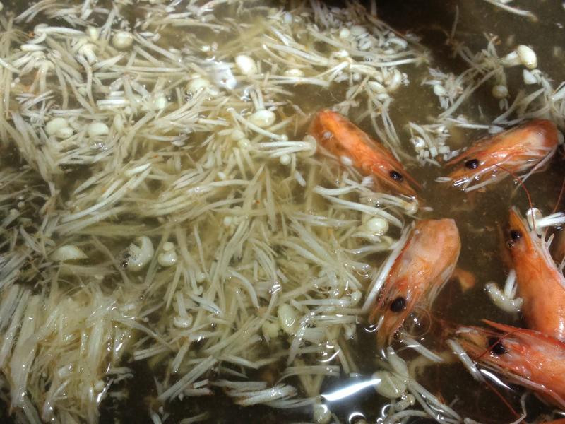 ��Ϻ��˼������������