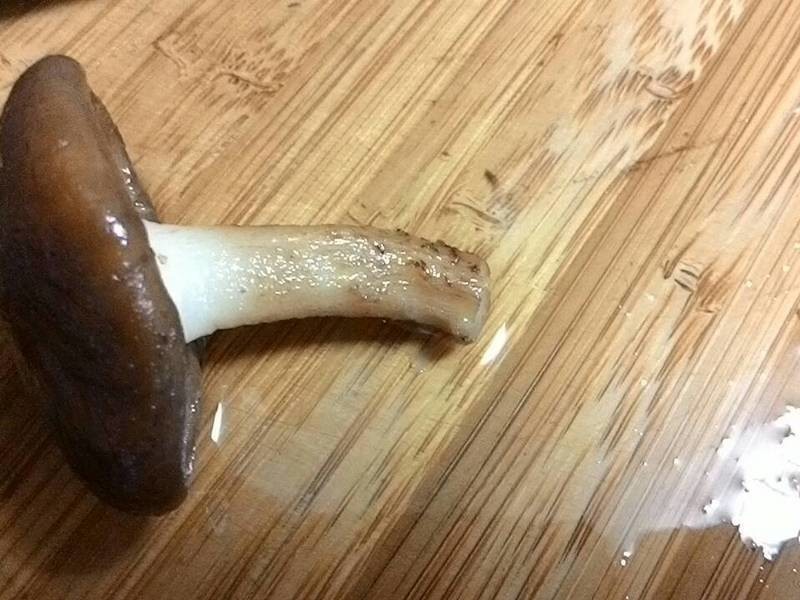 �㳴 ���㹽������