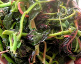 ���Ȳ˵�����