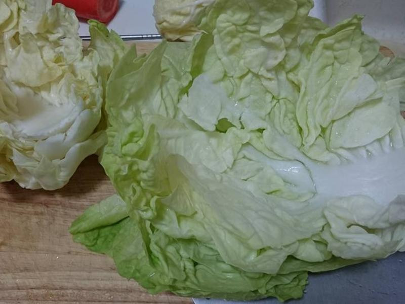 ǧ��ײ˹�����������