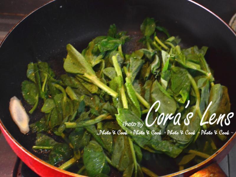 ���뻨�Ž����ռ�����������ˡ�������